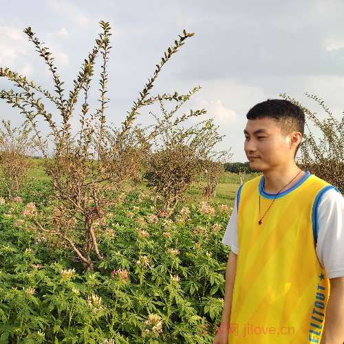 37岁岁广东单身帅哥 - 阳泉吉缘网